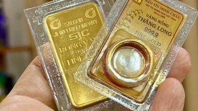 Gold prices today, October 19th: Will SJC gold, Bao Tin Minh Chau gold rings, and Doji gold increase or decrease?